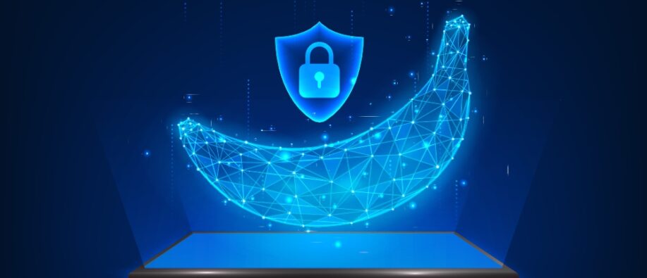 Nano Banana AI Trend Privacy Nano Banana AI Trend Privacy