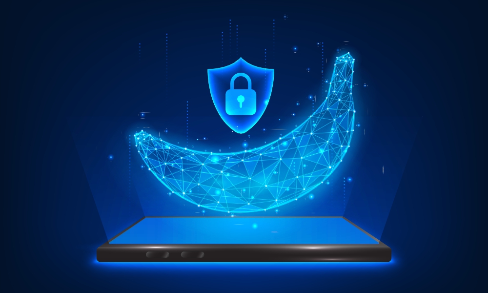 Nano Banana AI Trend Privacy