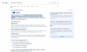Google AI Overview Result Screenshot