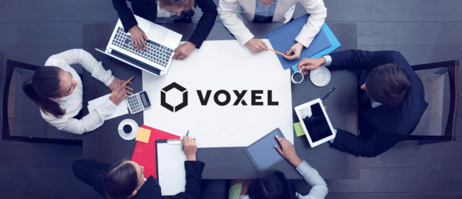 Voxel Grows AI Safety Globally